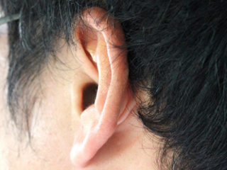 男性の耳